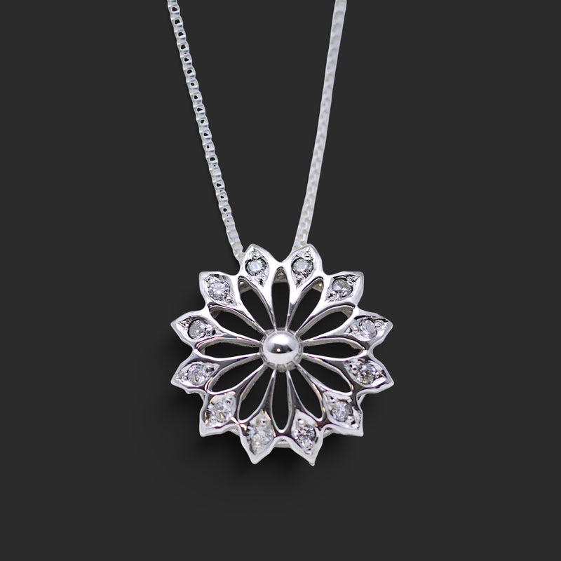 Chrysanthemum