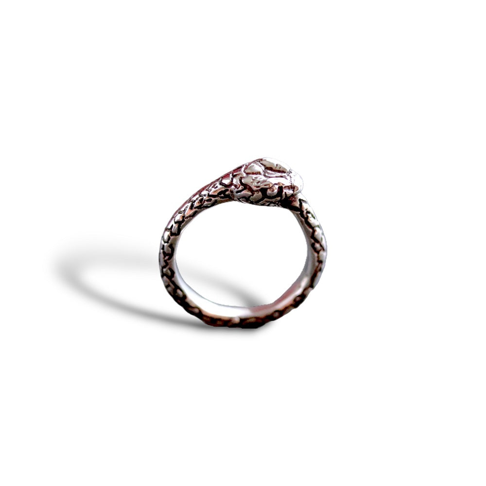 Ouroboros